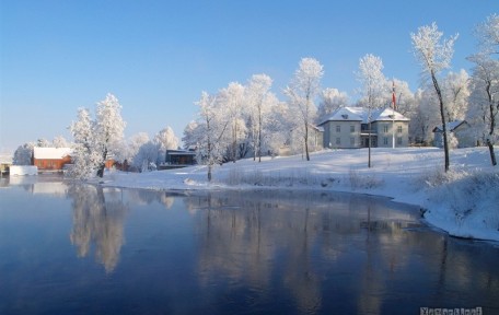 Etiam consectetur nulla vel ornare aliquam phasellus non velit eget massa consectetur lobortis